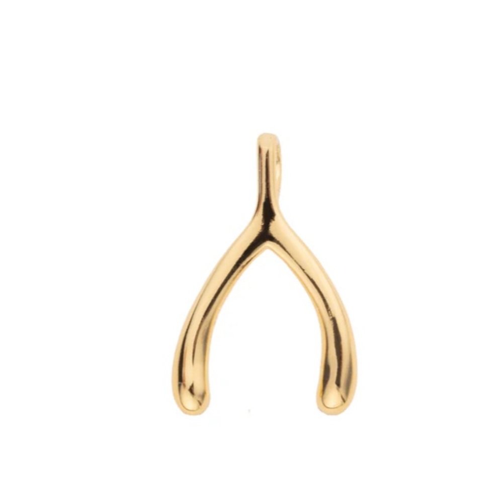 Jane Win Lucky Gold Mini Wishbone 10k pendant